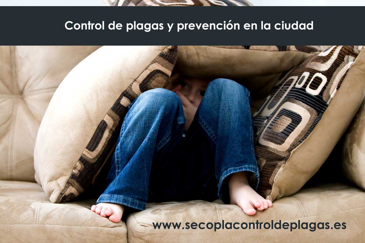 Prevención y control plagas en ciudad y la necesidad de su control. Control y prevención de plagas Madrid