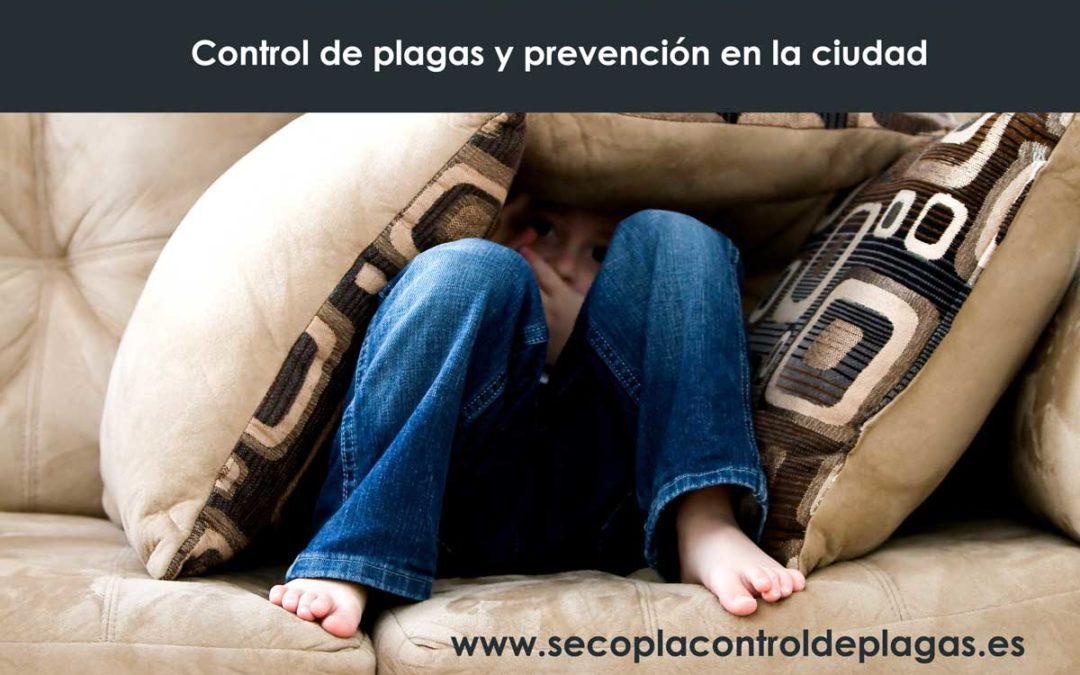 Prevención y control de plagas en la ciudad y la necesidad de su control.